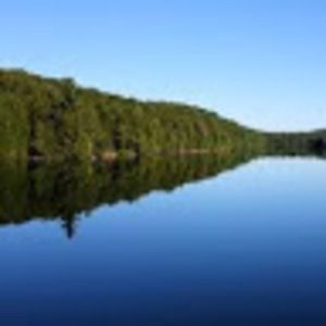 Meet your Posher, Izzy